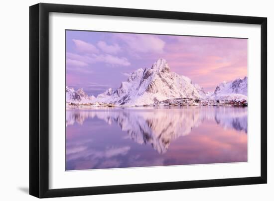 Pink Majesty-Michael Blanchette Photography-Framed Photographic Print