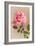 Pink Maman Cochet Rose-null-Framed Art Print