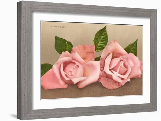 Pink Maman Cochet Roses--Framed Art Print