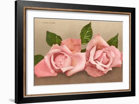 Pink Maman Cochet Roses-null-Framed Art Print