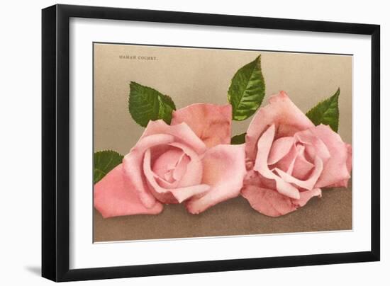 Pink Maman Cochet Roses-null-Framed Art Print