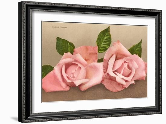 Pink Maman Cochet Roses-null-Framed Art Print