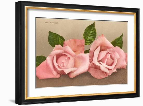 Pink Maman Cochet Roses-null-Framed Art Print