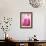 Pink Marble-Martina Pavlova-Framed Art Print displayed on a wall