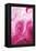 Pink Marble-Martina Pavlova-Framed Stretched Canvas