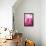 Pink Marble-Martina Pavlova-Framed Stretched Canvas displayed on a wall