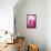 Pink Marble-Martina Pavlova-Framed Stretched Canvas displayed on a wall