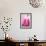 Pink Marble-Martina Pavlova-Framed Premium Giclee Print displayed on a wall