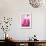 Pink Marble-Martina Pavlova-Framed Premium Giclee Print displayed on a wall