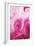 Pink Marble-Martina Pavlova-Framed Premium Giclee Print