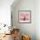 Pink Meadow-Nancy Tillman-Framed Premium Giclee Print displayed on a wall