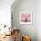 Pink Meadow-Nancy Tillman-Framed Premium Giclee Print displayed on a wall