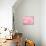 Pink Mirrors-Michelle Oppenheimer-Art Print displayed on a wall