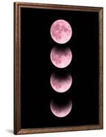Pink Moon-Emanuela Carratoni-Framed Giclee Print