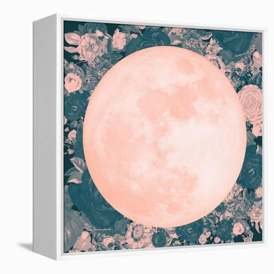 Pink Moon-null-Framed Stretched Canvas