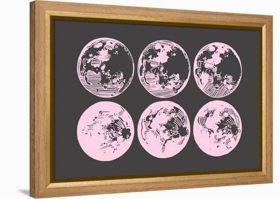 Pink Moons-null-Framed Stretched Canvas