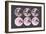 Pink Moons-null-Framed Premium Giclee Print