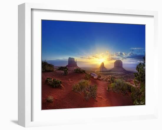 Pink Morning Glory I-David Drost-Framed Photographic Print