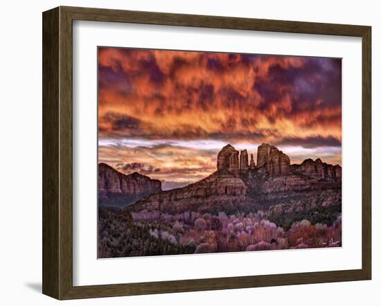 Pink Morning Glory IV-David Drost-Framed Photographic Print