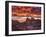 Pink Morning Glory IV-David Drost-Framed Photographic Print