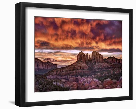 Pink Morning Glory IV-David Drost-Framed Photographic Print