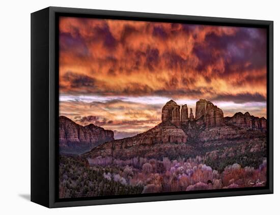 Pink Morning Glory IV-David Drost-Framed Premier Image Canvas