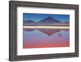 Pink Morning-Margarita Chernilova-Framed Photographic Print