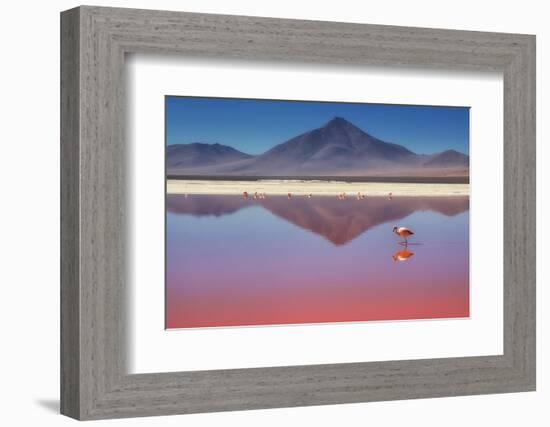 Pink Morning-Margarita Chernilova-Framed Photographic Print