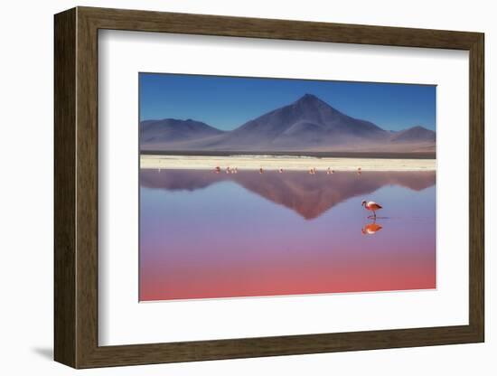 Pink Morning-Margarita Chernilova-Framed Photographic Print