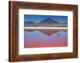 Pink Morning-Margarita Chernilova-Framed Photographic Print