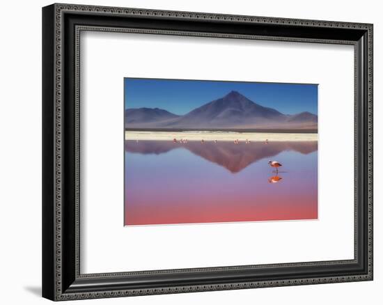 Pink Morning-Margarita Chernilova-Framed Photographic Print