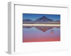 Pink Morning-Margarita Chernilova-Framed Photographic Print