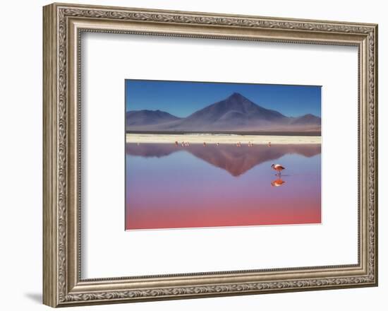 Pink Morning-Margarita Chernilova-Framed Photographic Print