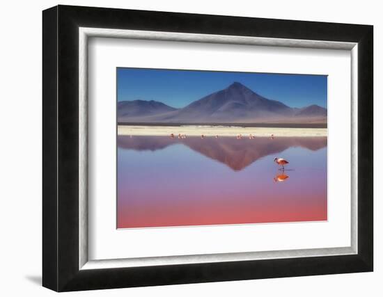 Pink Morning-Margarita Chernilova-Framed Photographic Print