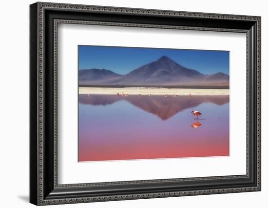 Pink Morning-Margarita Chernilova-Framed Photographic Print