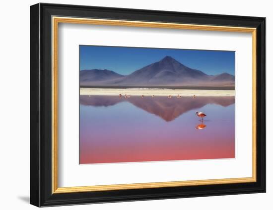 Pink Morning-Margarita Chernilova-Framed Photographic Print