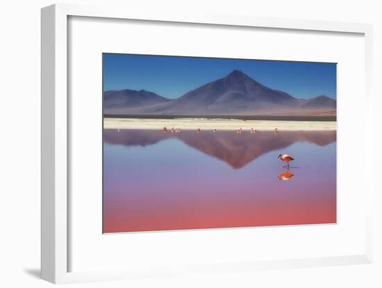 Pink Morning-Margarita Chernilova-Framed Photographic Print