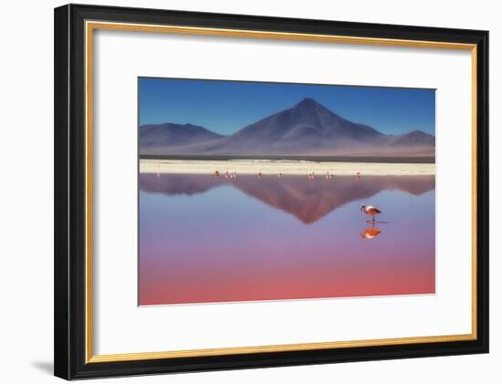 Pink Morning-Margarita Chernilova-Framed Photographic Print