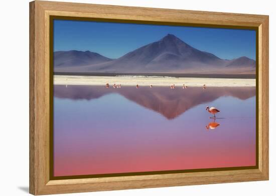 Pink Morning-Margarita Chernilova-Framed Premier Image Canvas