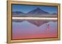 Pink Morning-Margarita Chernilova-Framed Premier Image Canvas