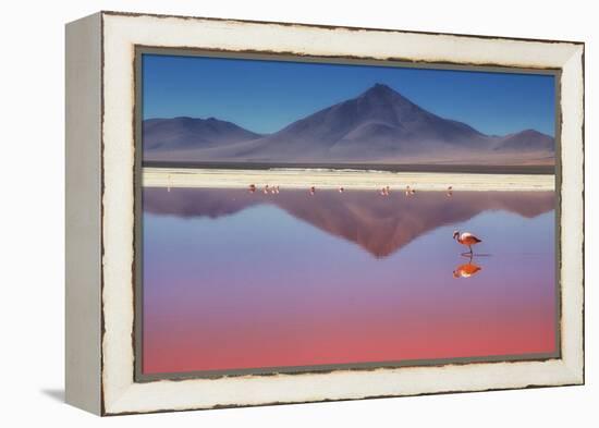 Pink Morning-Margarita Chernilova-Framed Premier Image Canvas