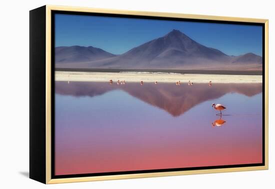 Pink Morning-Margarita Chernilova-Framed Premier Image Canvas