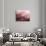 Pink Motion-Design Fabrikken-Photographic Print displayed on a wall