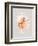 Pink Murex-Michael Willett-Framed Art Print