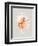 Pink Murex-Michael Willett-Framed Art Print