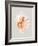 Pink Murex-Michael Willett-Framed Art Print