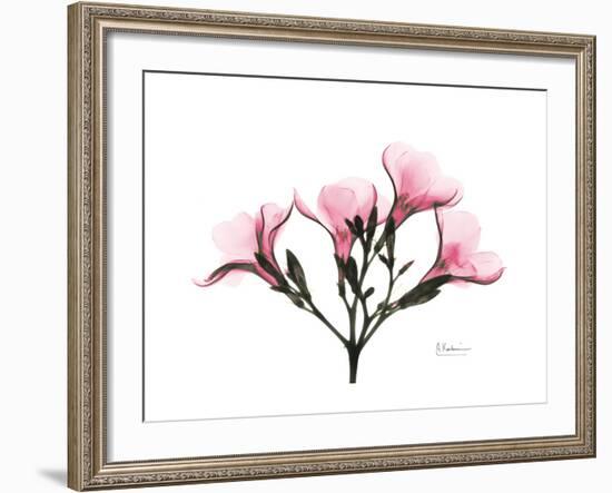 Pink Oleander Peace-Albert Koetsier-Framed Art Print