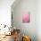 Pink On Pink I-Elizabeth Urquhart-Photo displayed on a wall