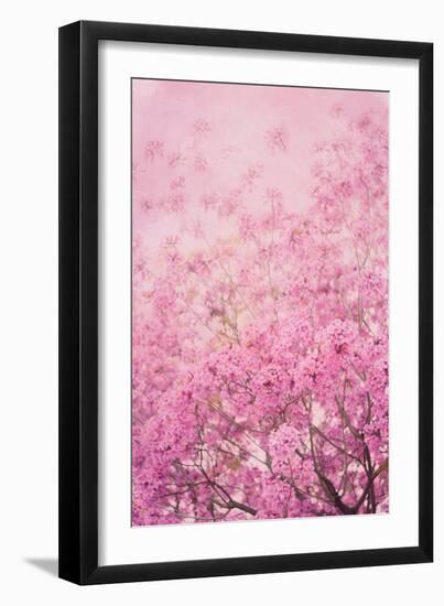 Pink On Pink I-Elizabeth Urquhart-Framed Photo