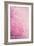 Pink On Pink II-Elizabeth Urquhart-Framed Photographic Print